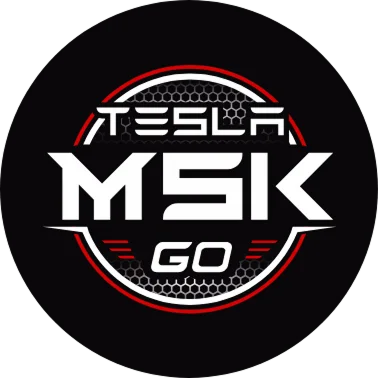 Логотип TeslaMskGO